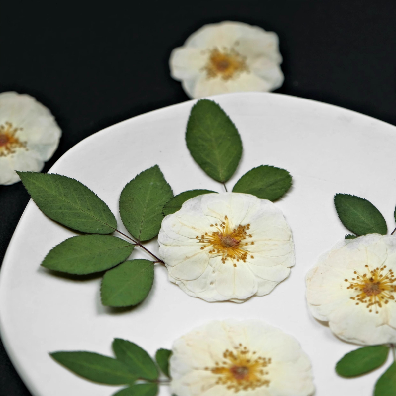 6 szt., 9 szt., Naturalne Biał – Dried Flower Bulk recenzja i cena