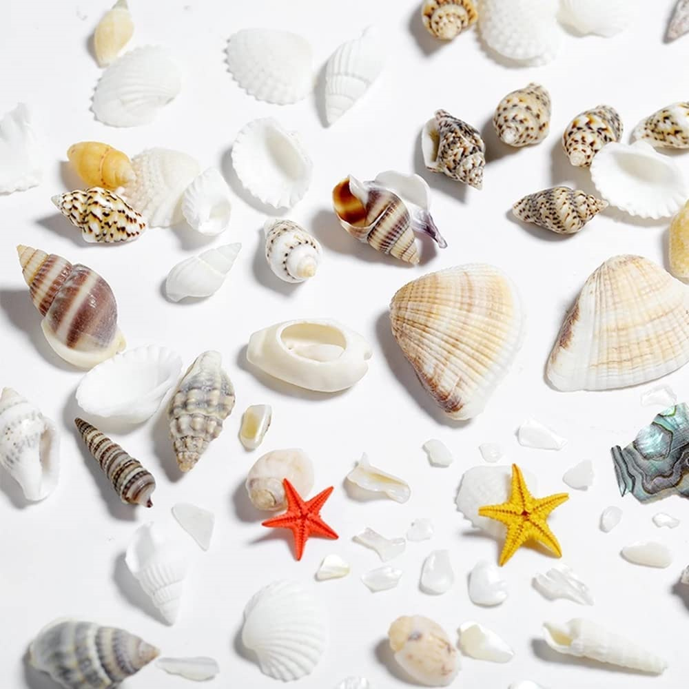 1 pudełko muszle morskie perła – Resin Ocean Wave Mold recenzja i cena